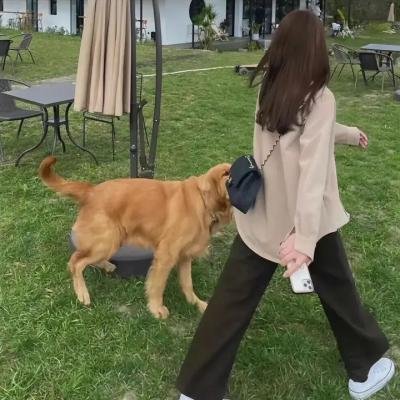 最后一个男人第二季
